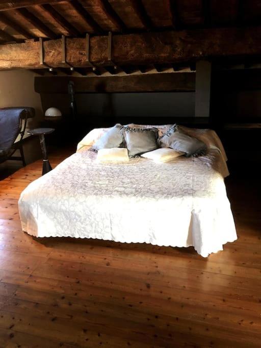 Romantic Studio In The Historical Heart Of Padova Bagian luar foto